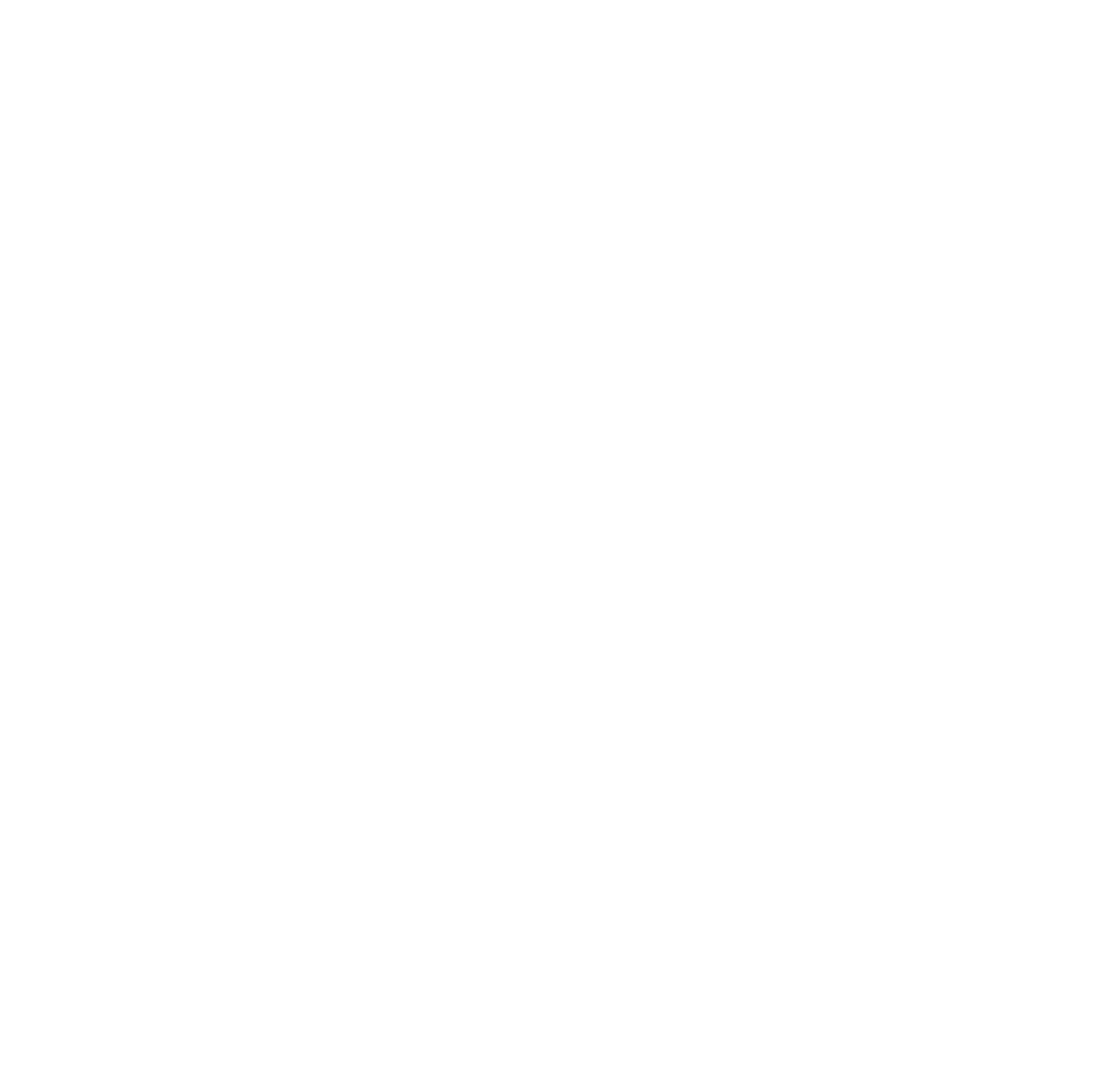 Black Car CR company logo